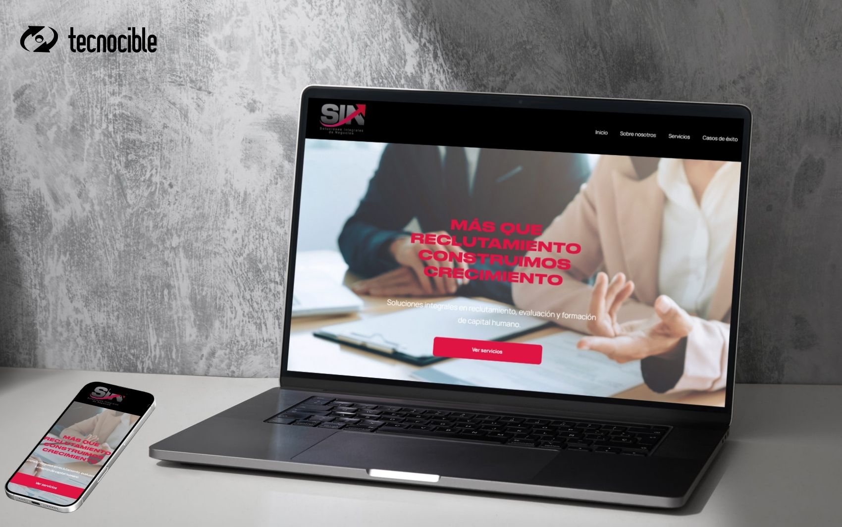 Proyecto web Consultor SIN